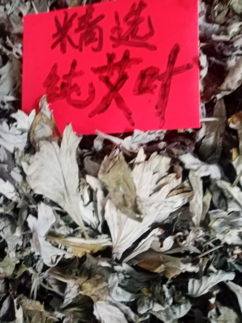 艾叶野生，药用艾叶，艾叶全颗，艾草，纯手工大叶艾，高含量