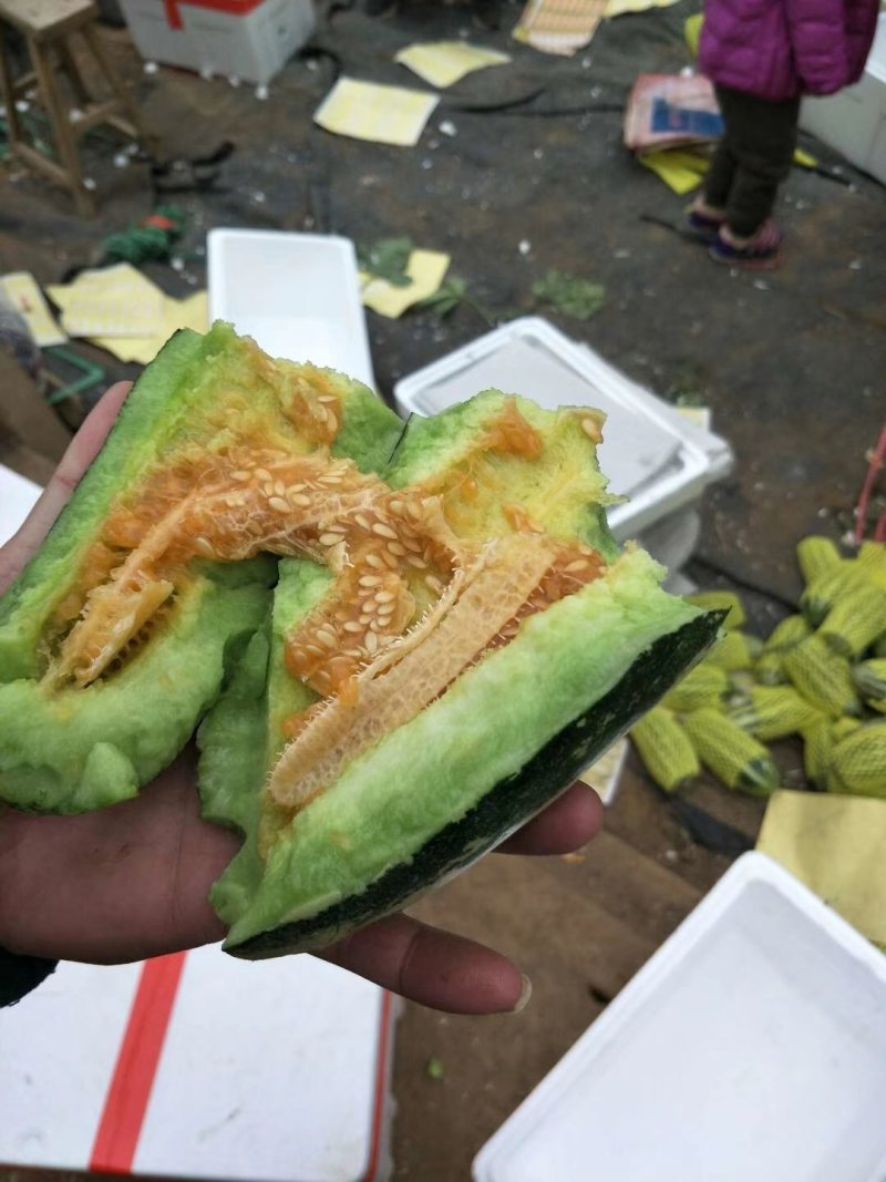精品博洋9号甜瓜大量供应中产地直发，承接电商微商平台对接