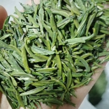 富硒茶