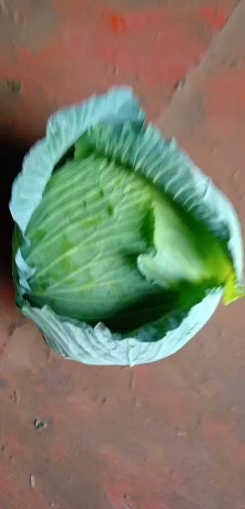 绿春扁包菜品质好，8成熟耐运输，出口，批发市场，加工厂。