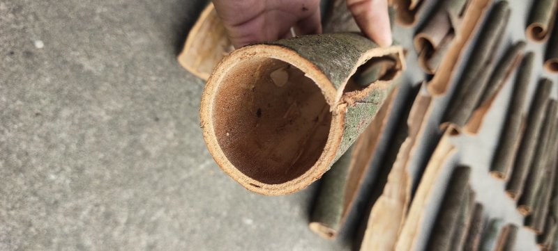 桂皮/肉桂/桂树皮/桂木皮/桂树皮/桂皮/苗木皮/统桂