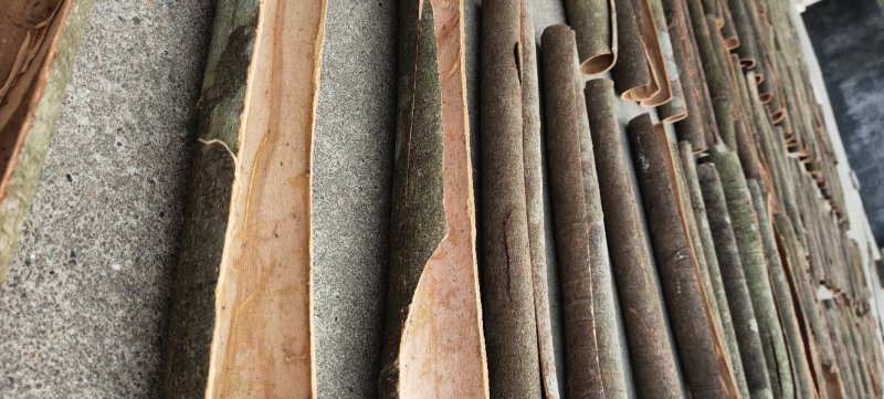 桂皮/肉桂/桂树皮/桂木皮/桂树皮/桂皮/苗木皮/统桂