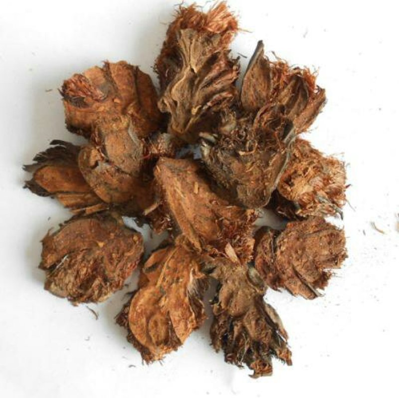 贯众，常年批发供应贯众中药材，东北货