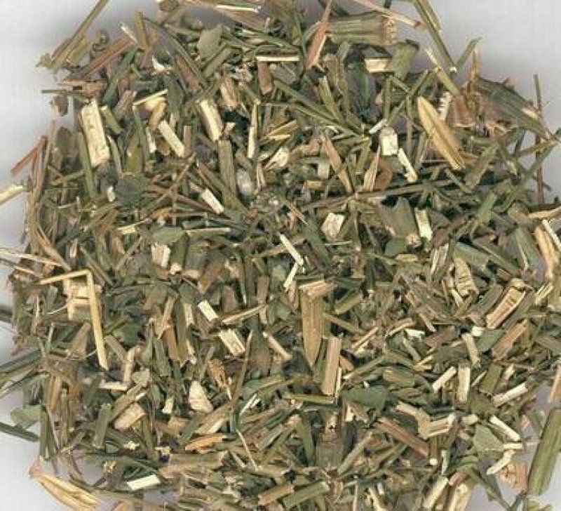 穿心莲，常年批发供应中药材穿心莲