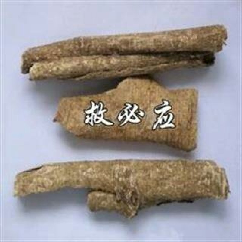 救必应，常年批发供应冷背中药材救必应