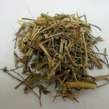 马鞭草，常年批发供应马鞭草中药材