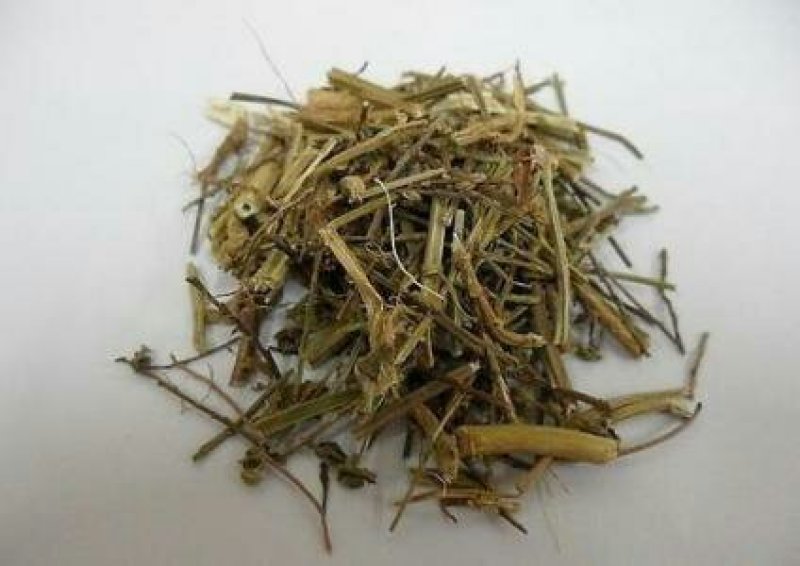 马鞭草，常年批发供应马鞭草中药材