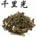 千里光，常年批发供应，千里光，九里明中药材