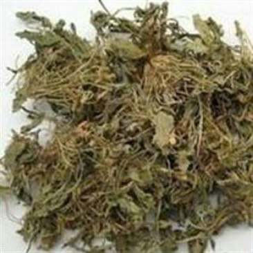 苦地丁，常年批发供应紫花地丁中药材
