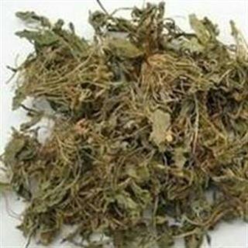 苦地丁，常年批发供应紫花地丁中药材