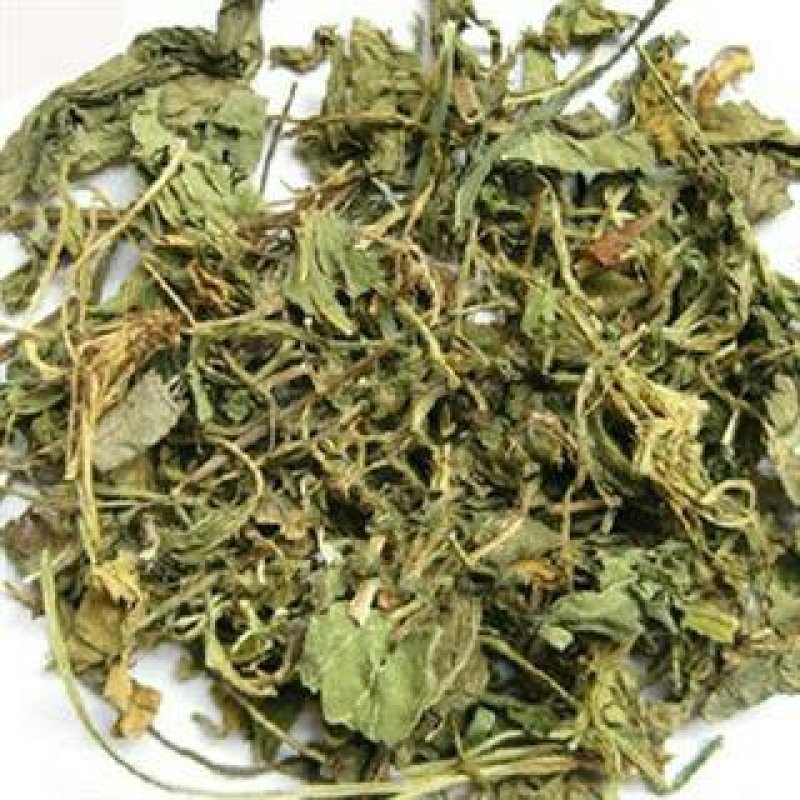 苦地丁，常年批发供应紫花地丁中药材