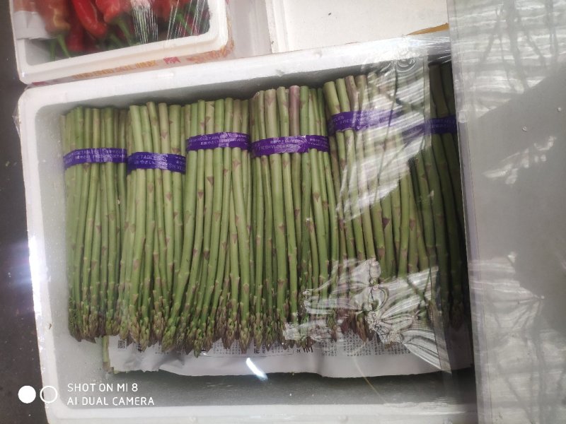 精品芦笋销售，有意者可以联系我