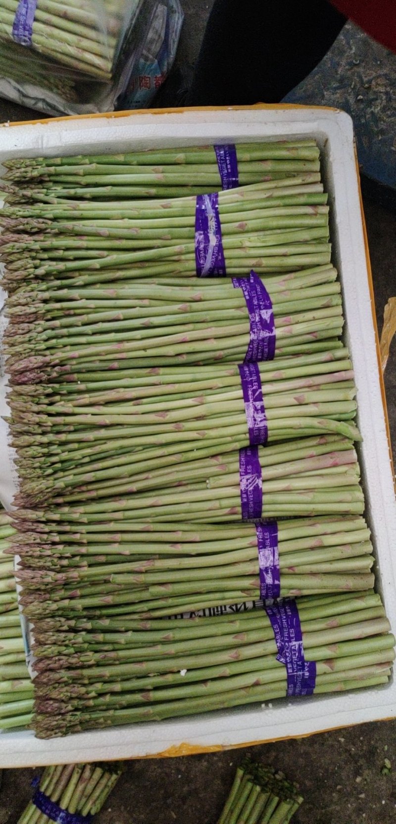 精品芦笋销售，有意者可以联系我