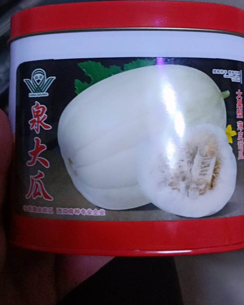甜瓜种子泉大瓜厂家直销保回收质量保证产量保证