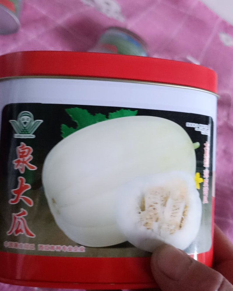 甜瓜种子泉大瓜厂家直销保回收质量保证产量保证