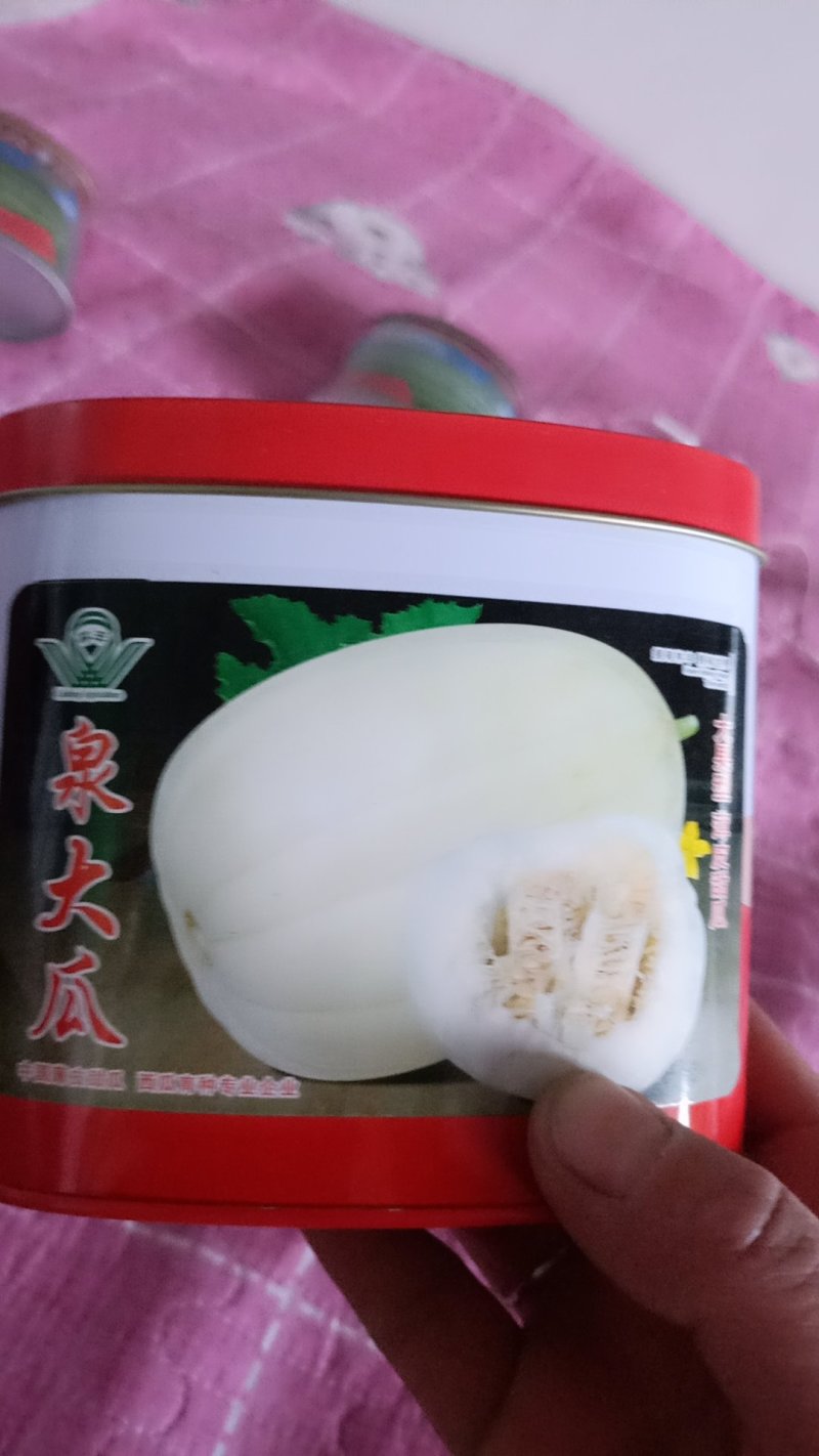 甜瓜种子泉大瓜厂家直销保回收质量保证产量保证