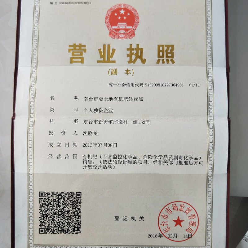 大叶女贞米径5公分，高杆女贞，苗圃直供，东台精品女贞