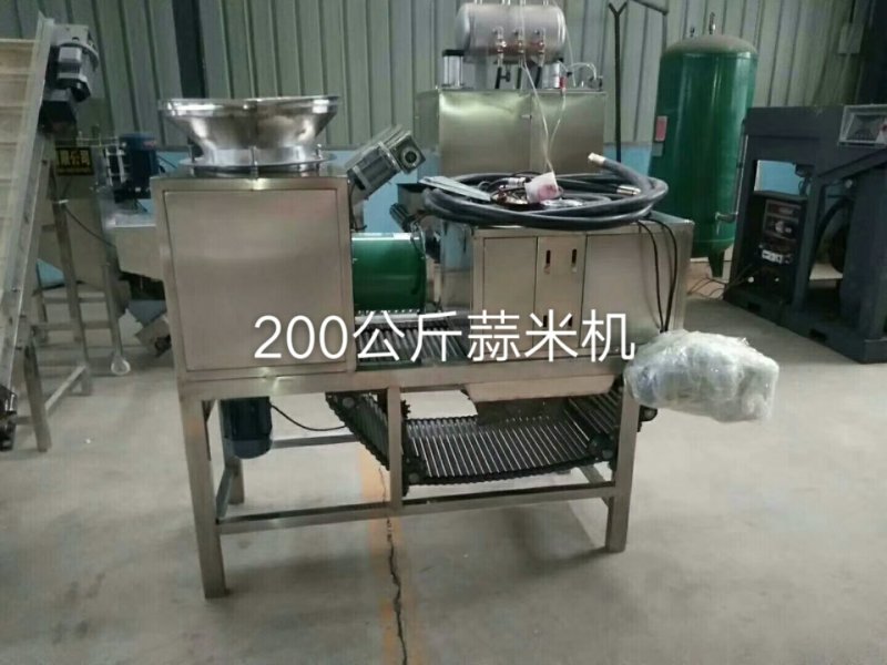 大蒜蒜米加工机械生产线