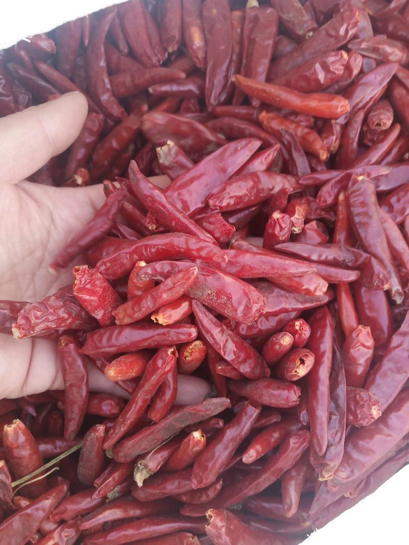 干辣椒朝天椒新一代辣椒产地供货品质好大量供应