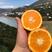 湖北脐橙，橙子，秭归脐橙，果大皮肤光滑口感好