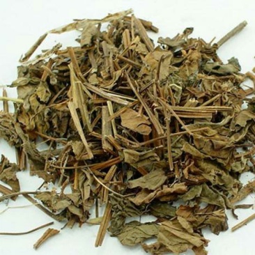 鱼腥草，常年批发供应鱼腥草，鱼腥草根