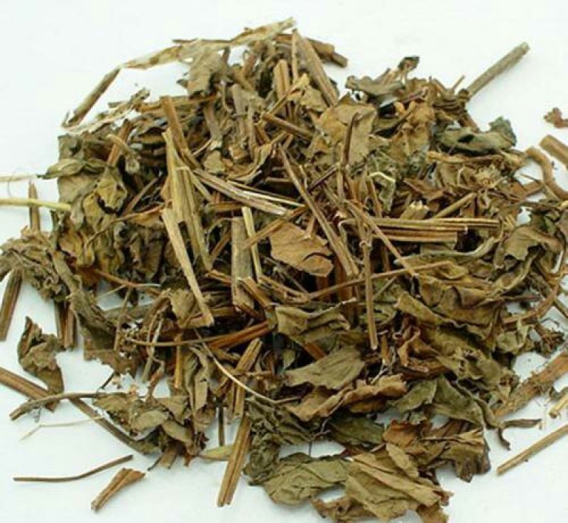 鱼腥草，常年批发供应鱼腥草，鱼腥草根