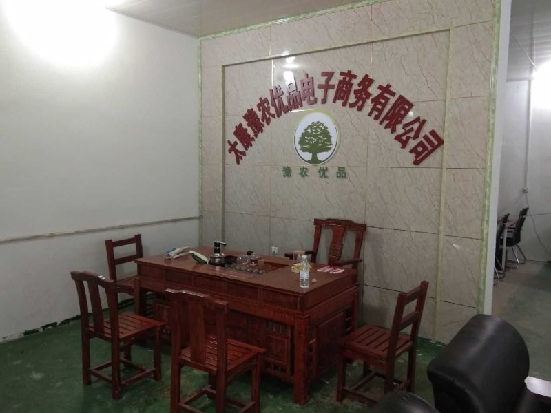 杜仲苗地径0.5公分起步杜仲苗价格美丽精品苗