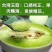 山东脆香甜玉姑蜜瓜大量上市