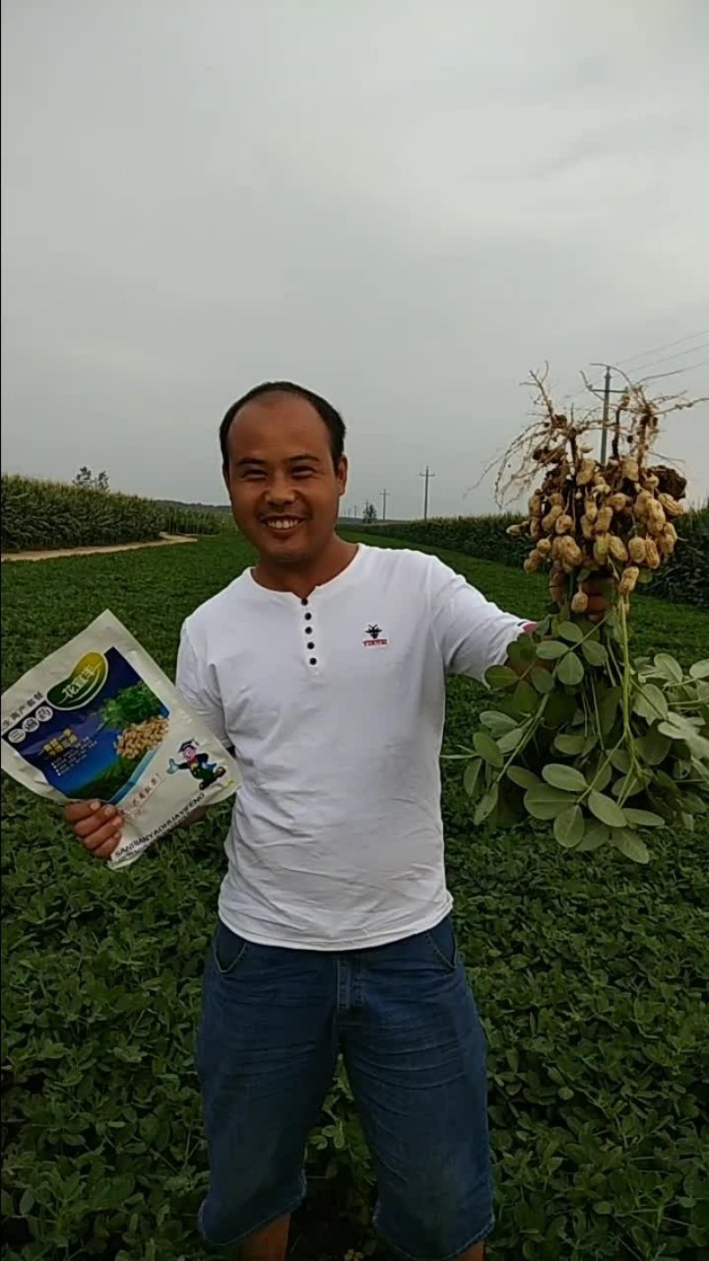 花生/富硒花生/花生棵/花生壳/花生饼，农户直销