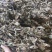凉粉草草粿草烧仙草