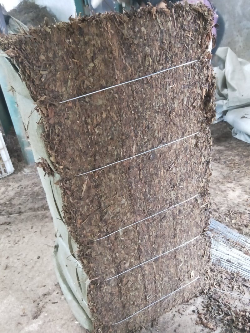 凉粉草草粿草烧仙草