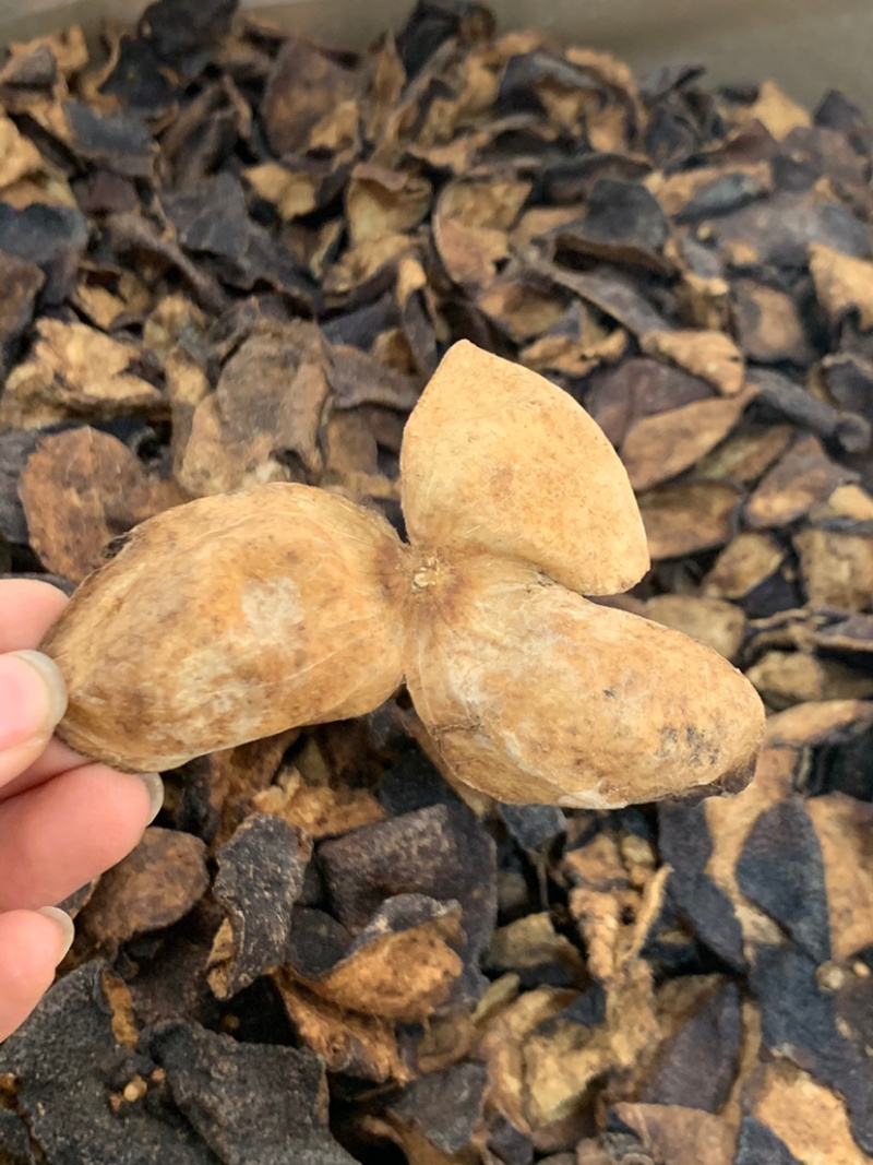 陈皮碎淘货源实体电商微商可一件代发专注批发