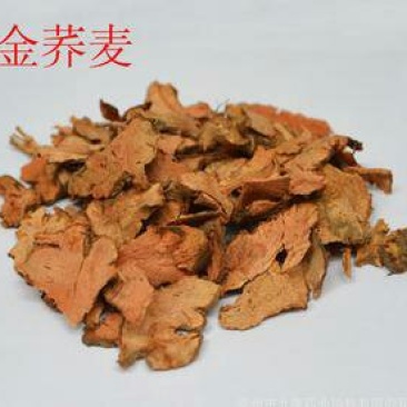 金荞麦，常年批发供应金荞麦中药材