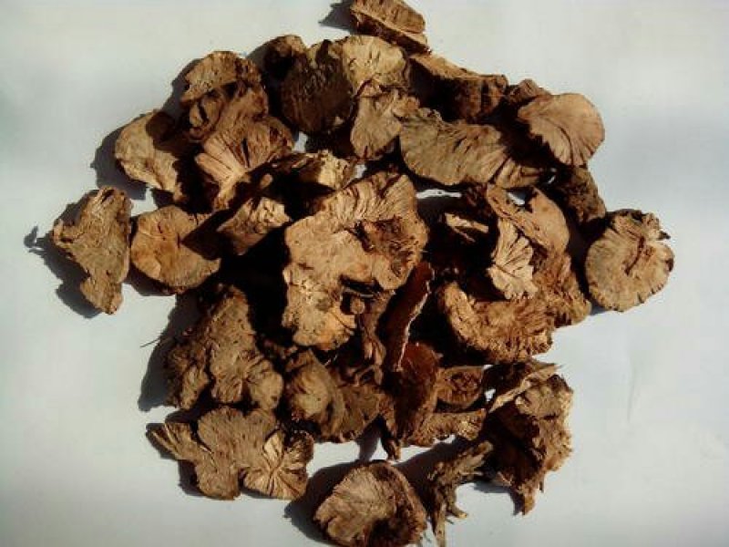 金荞麦，常年批发供应金荞麦中药材
