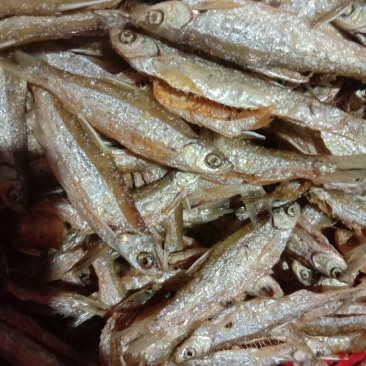 农副食品