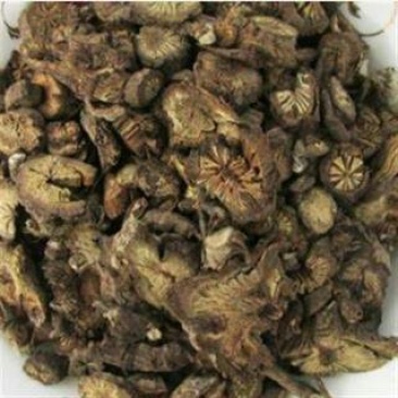 漏芦，常年批发供应漏芦中药材