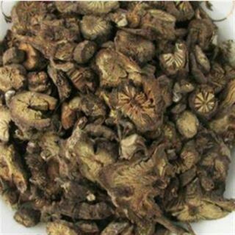 漏芦，常年批发供应漏芦中药材