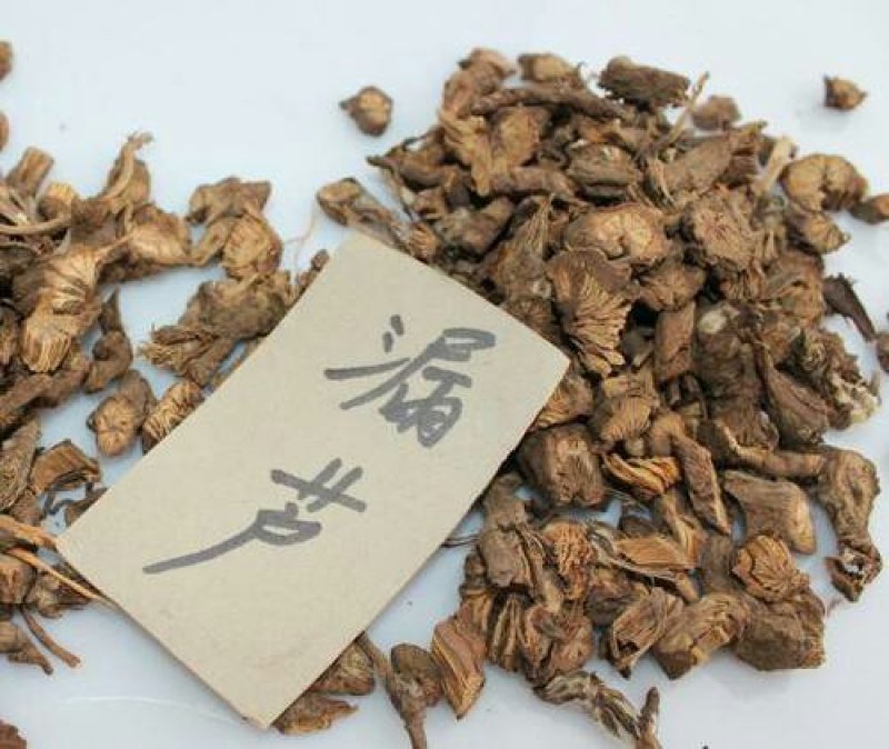 漏芦，常年批发供应漏芦中药材