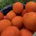 良心推荐湖北伦晚脐橙规格齐全耐运输全国接单一手价格产地