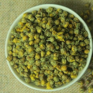 野菊花，常年批发供应药食同源野菊花