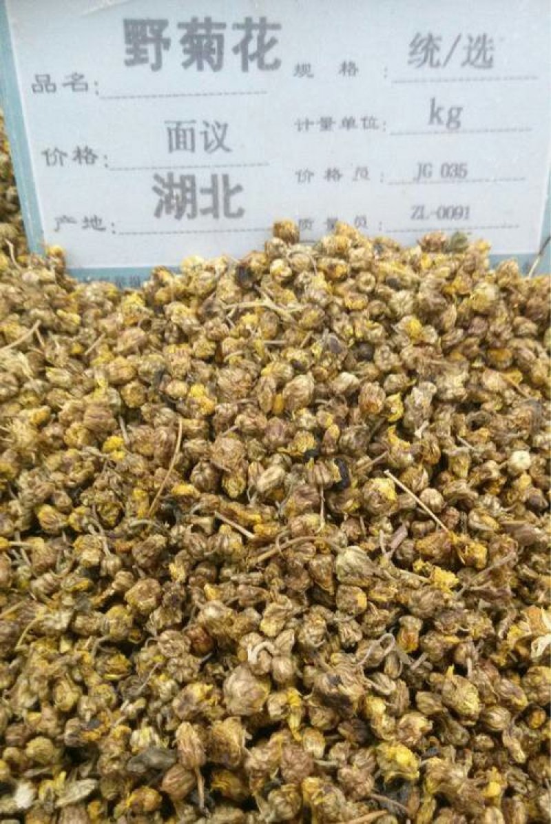 野菊花，常年批发供应药食同源野菊花