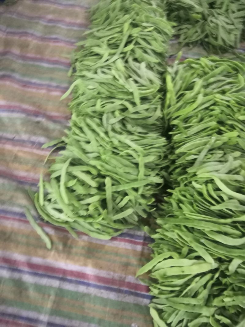 豆类扁豆，颜色绿，卖相好，品质好