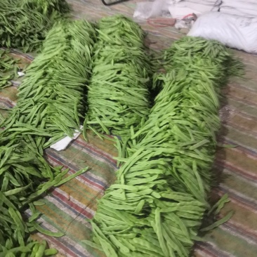 豆类扁豆，颜色绿，卖相好，品质好