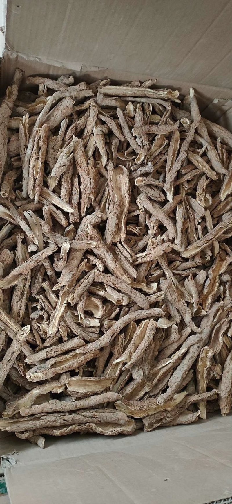 甘肃野生精品地骨皮大量有货