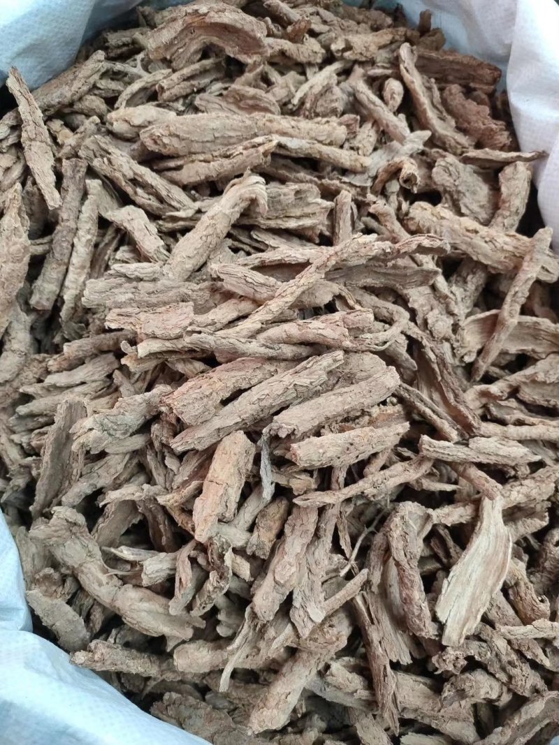 甘肃野生精品地骨皮大量有货
