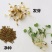 紫花苜蓿种子猪牛羊兔鸡鸭鹅多年生四季养殖牧草苜蓿草籽鱼草