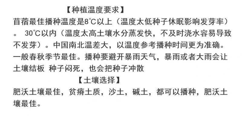 紫花苜蓿种子猪牛羊兔鸡鸭鹅多年生四季养殖牧草苜蓿草籽鱼草