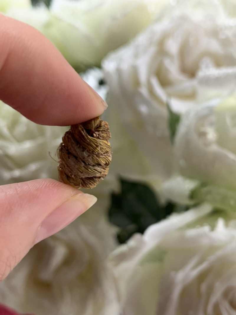 无渣石斛枫斗淘货源微商电商货源一件代发