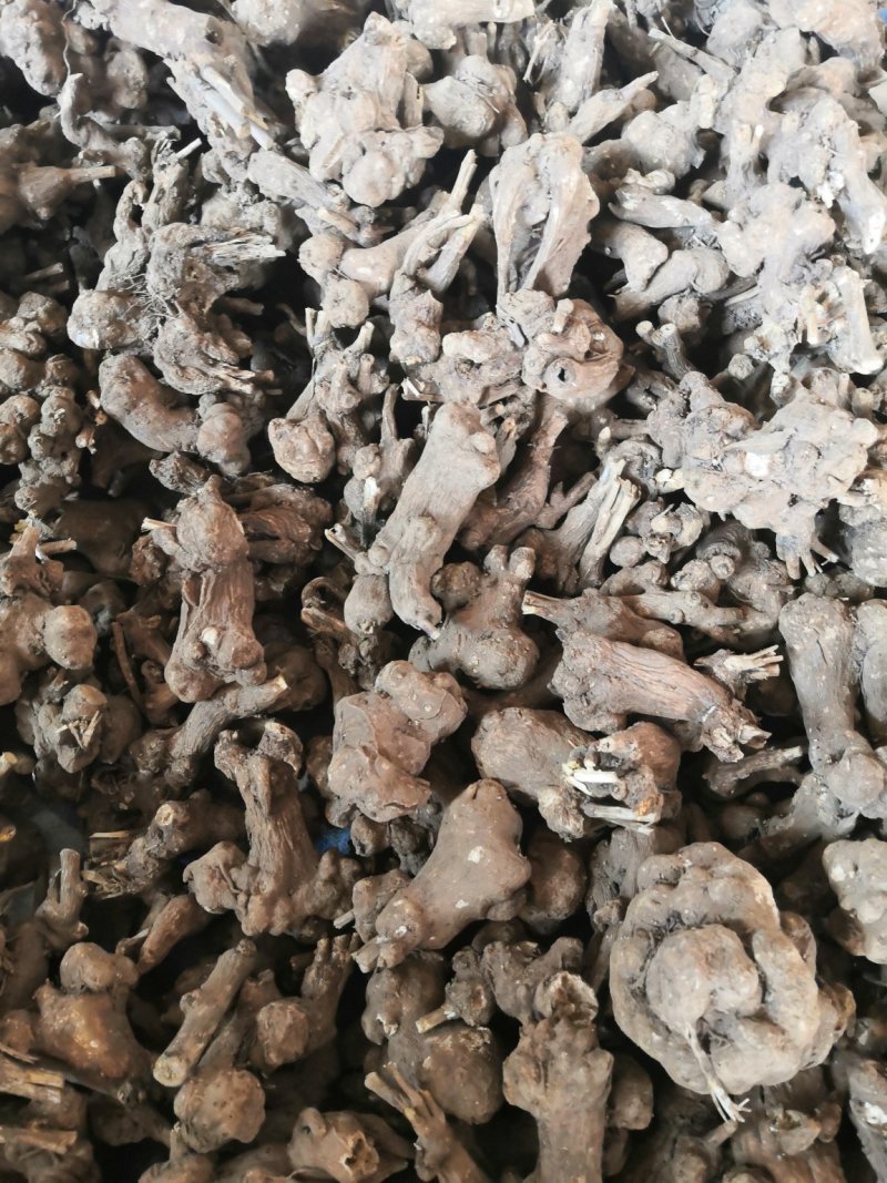 白术：白术芽干货.大白术个子统货特价白术小圆片量大包邮。