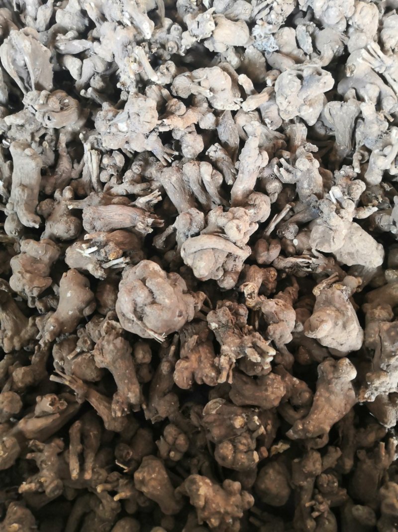 白术：白术芽干货.大白术个子统货特价白术小圆片量大包邮。